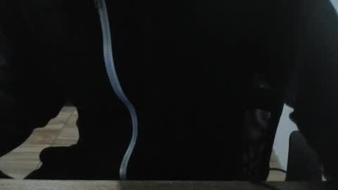 miamorr_ online show from 02/03/26, 04:43