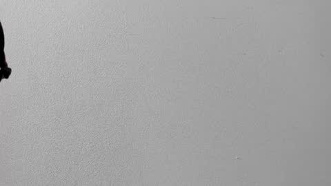 mia online show from 10/12/25, 12:37