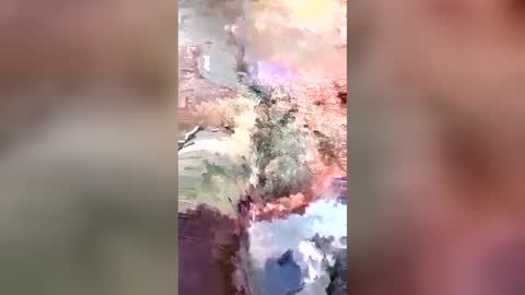 michael80808080 online show from 06/29/26, 10:59