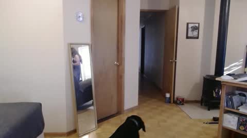 Michelle online show from 02/13/25, 03:56