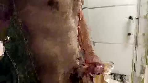 mickavis1975 online show from 12/14/25, 05:40