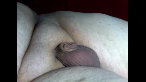 micropimmel online show from 12/18/24, 04:06