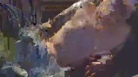 Snapshot of middle123456783939 chatting on 09/11/25, 06:52 middle123456783939 online show from 09/11/25, 06:52