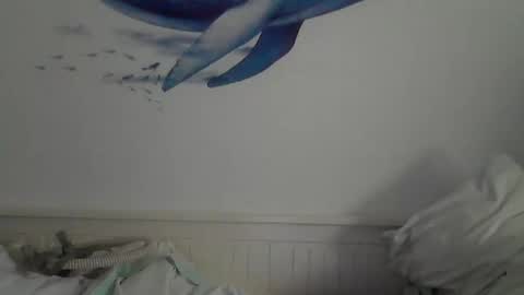 Snapshot of midhir chatting on 02/03/25, 02:34 kike online show from 02/03/25, 02:34