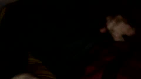 midiin online show from 12/10/24, 05:39