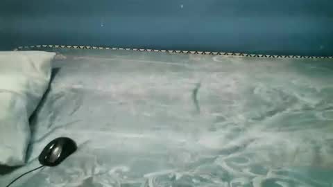 Caddy online show from 11/01/25, 08:00