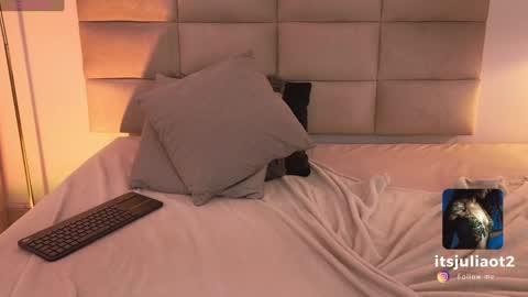   online show from 01/31/25, 11:45