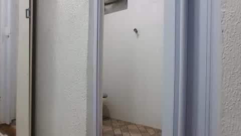 Snapshot of mike11343 chatting on 03/06/26, 05:53 mike11343 online show from 03/06/26, 05:53