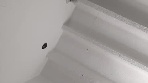 Miki online show from 01/08/25, 04:22