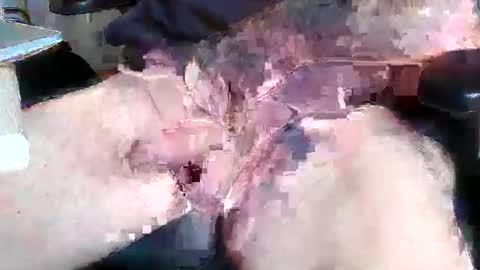 Snapshot of mikefun4711 chatting on 10/28/25, 08:29 mikefun4711 online show from 10/28/25, 08:29