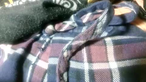 Snapshot of mikeyd1a chatting on 03/22/26, 04:21 mikeyd1a online show from 03/22/26, 04:21