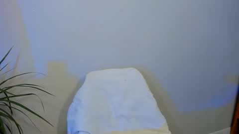 Snapshot of milanabrittt chatting on 12/05/25, 01:03 Milana online show from 12/05/25, 01:03