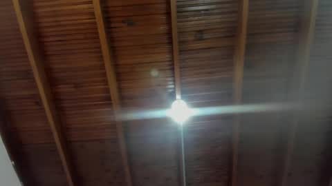 Mila Rose online show from 12/31/24, 11:53