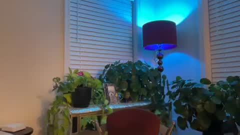 MIlf Goddess online show from 12/17/25, 08:09