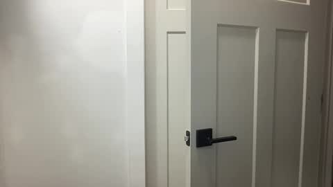 HungCollege online show from 11/17/25, 03:34