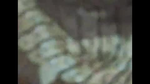 Snapshot of milfpussyeatdeep chatting on 12/31/24, 09:06 milfpussyeatdeep online show from 12/31/24, 09:06