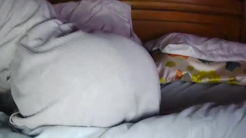 Snapshot of milfytitts chatting on 10/16/25, 12:39 MilfyTitts online show from 10/16/25, 12:39