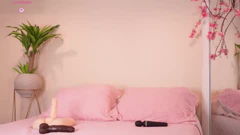    online show from 10/23/25, 12:15