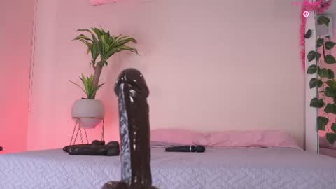    online show from 06/24/26, 02:38