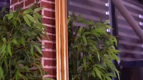 Snapshot of milla_serene chatting on 01/10/26, 07:54 Milla online show from 01/10/26, 07:54