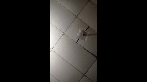 Snapshot of miloanj chatting on 11/07/25, 04:45 miloanj online show from 11/07/25, 04:45