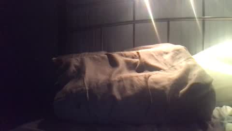 Snapshot of minkfloow chatting on 12/29/24, 03:54 minkfloow online show from 12/29/24, 03:54