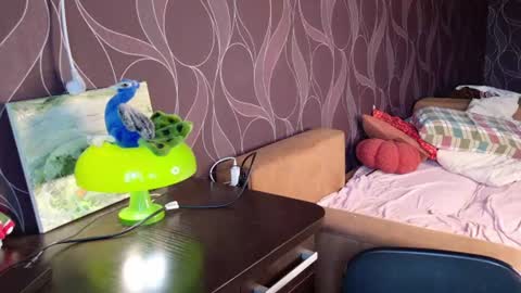 Mira online show from 06/14/26, 07:43