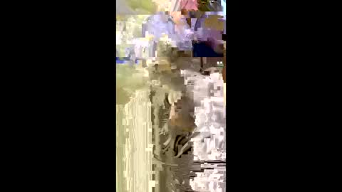 Snapshot of misnicol chatting on 01/05/26, 07:50 Nicol online show from 01/05/26, 07:50