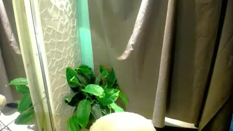 Moheera online show from 05/03/26, 02:17