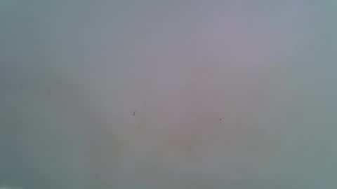 Snapshot of miss_rihanna2 chatting on 02/04/26, 07:09 miss_rihanna2 online show from 02/04/26, 07:09