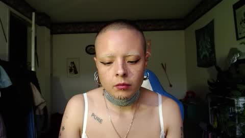 Anarkitten  online show from 10/30/25, 09:48