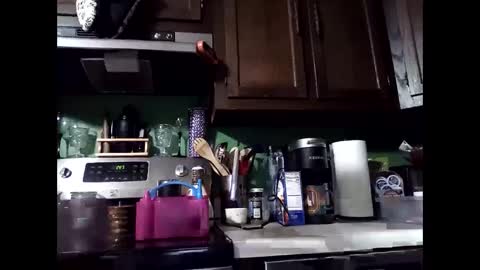 MissEeva online show from 12/14/24, 06:46