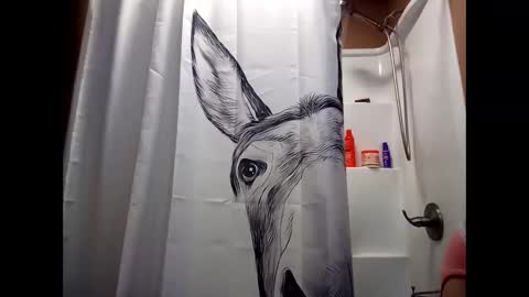 MissEeva online show from 12/28/24, 02:01