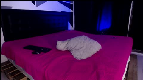 Miss Loise online show from 01/29/25, 12:56