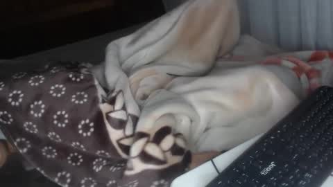 Snapshot of misspink152015 chatting on 12/28/24, 04:30 sarah online show from 12/28/24, 04:30