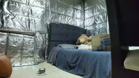 Snapshot of missstres_scarleth chatting on 11/24/25, 02:55 SCARLETH online show from 11/24/25, 02:55