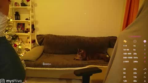 Snapshot of mistiva chatting on 12/20/25, 05:53 Hi everyone Im Tina online show from 12/20/25, 05:53