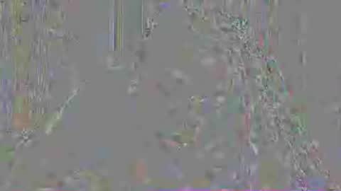 Snapshot of mistressmystii chatting on 07/03/26, 03:02 Mistress Mystii online show from 07/03/26, 03:02