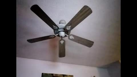 Snapshot of mitchnails69 chatting on 12/22/24, 12:05 BobbyMitchGa online show from 12/22/24, 12:05