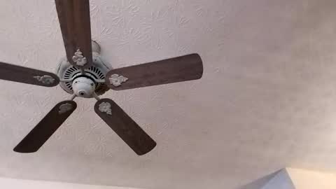 Snapshot of mitchnails69 chatting on 02/23/25, 03:40 BobbyMitchGa online show from 02/23/25, 03:40