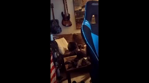 Snapshot of mitchnails69 chatting on 04/11/26, 09:35 BobbyMitchGa online show from 04/11/26, 09:35