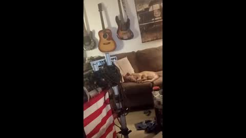 BobbyMitchGa online show from 04/29/26, 06:06