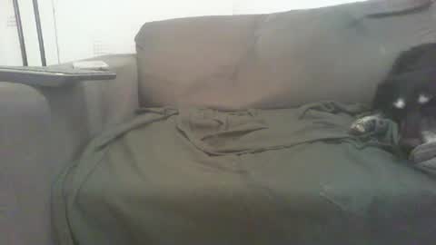 mixandflair online show from 12/22/24, 08:47