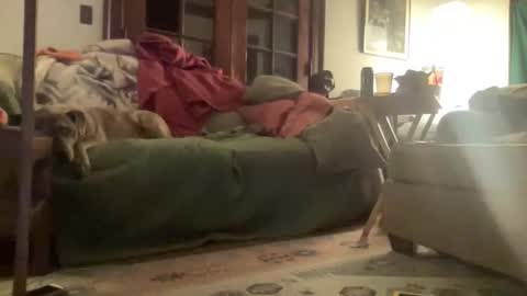 Mizz Storm online show from 03/15/26, 03:45