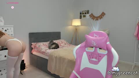 Snapshot of mjgreencat chatting on 01/27/25, 04:43 mj online show from 01/27/25, 04:43