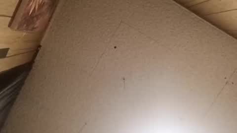 mjmichaelware online show from 02/24/26, 06:55