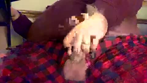 mnguy19726969 online show from 12/18/24, 06:25