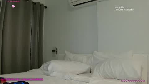 Mocha  BDAY JAN 13  online show from 01/21/25, 04:10