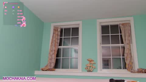 Mocha  BDAY JAN 13  online show from 03/09/25, 03:43