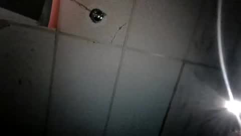 Pnisxxl online show from 03/12/25, 03:24